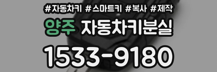 양주 자동차키분실