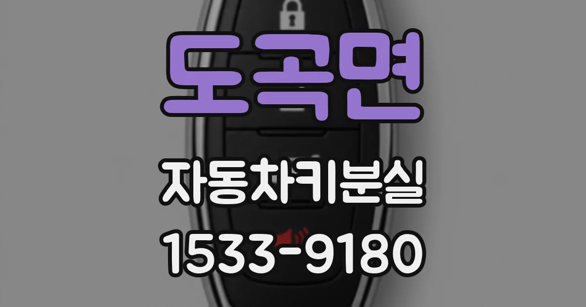 도곡면 자동차키분실