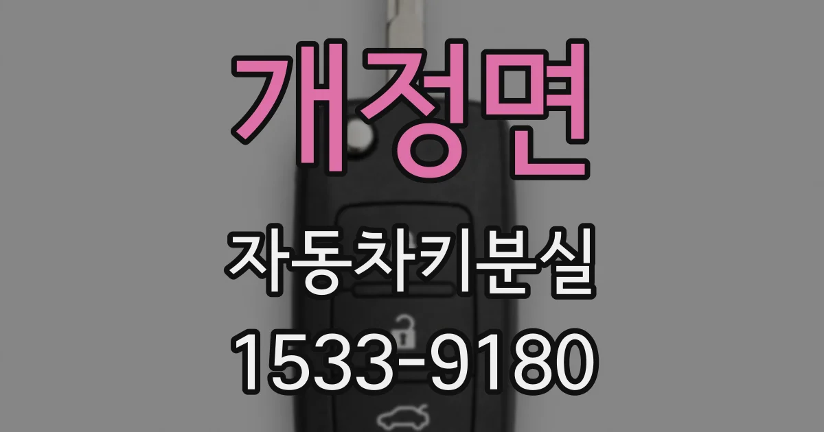 개정면 자동차키분실