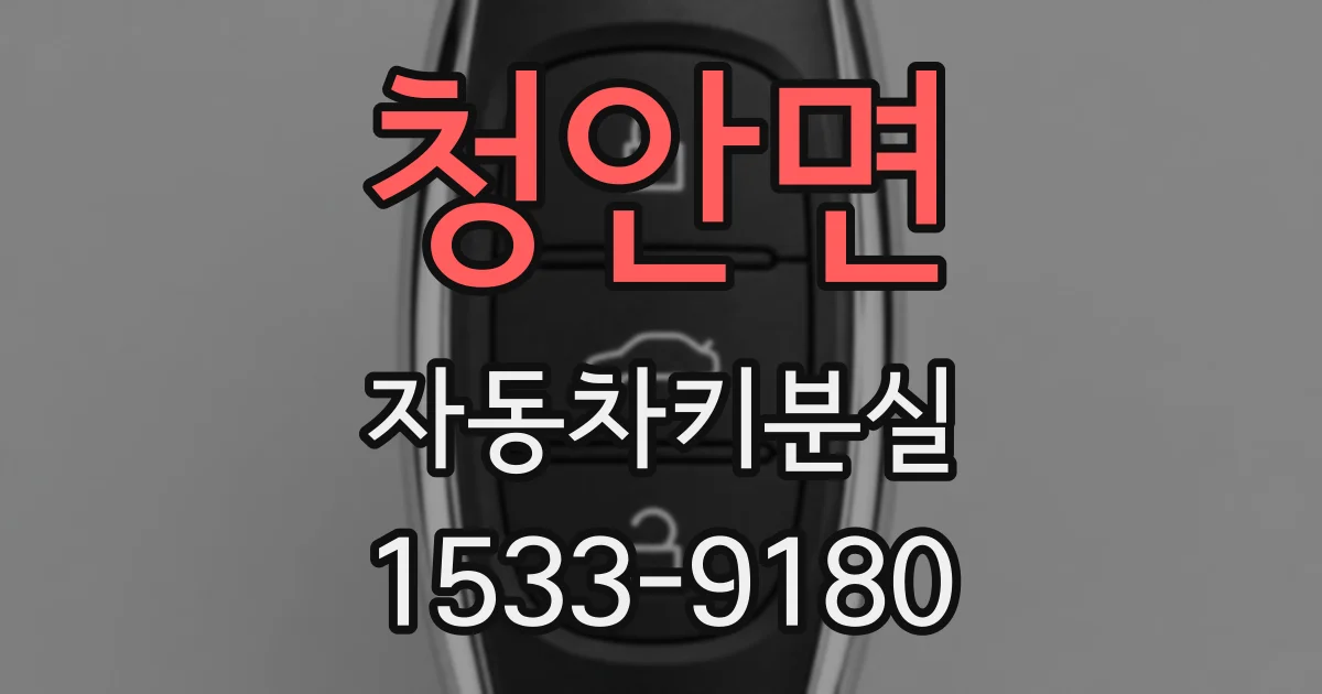 청안면 자동차키분실