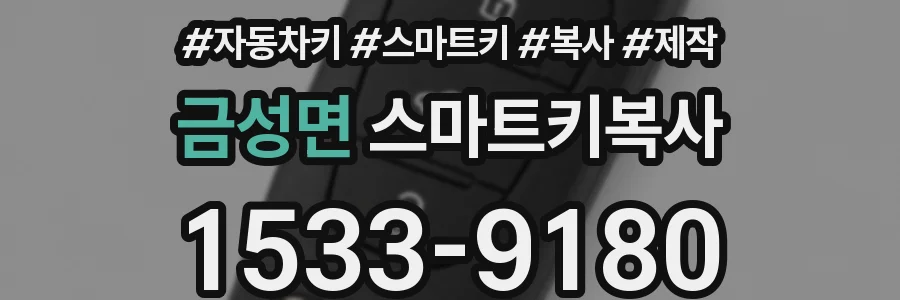 금성면 스마트키복사