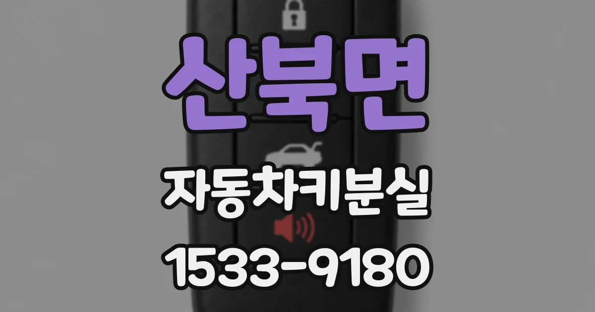 산북면 자동차키분실