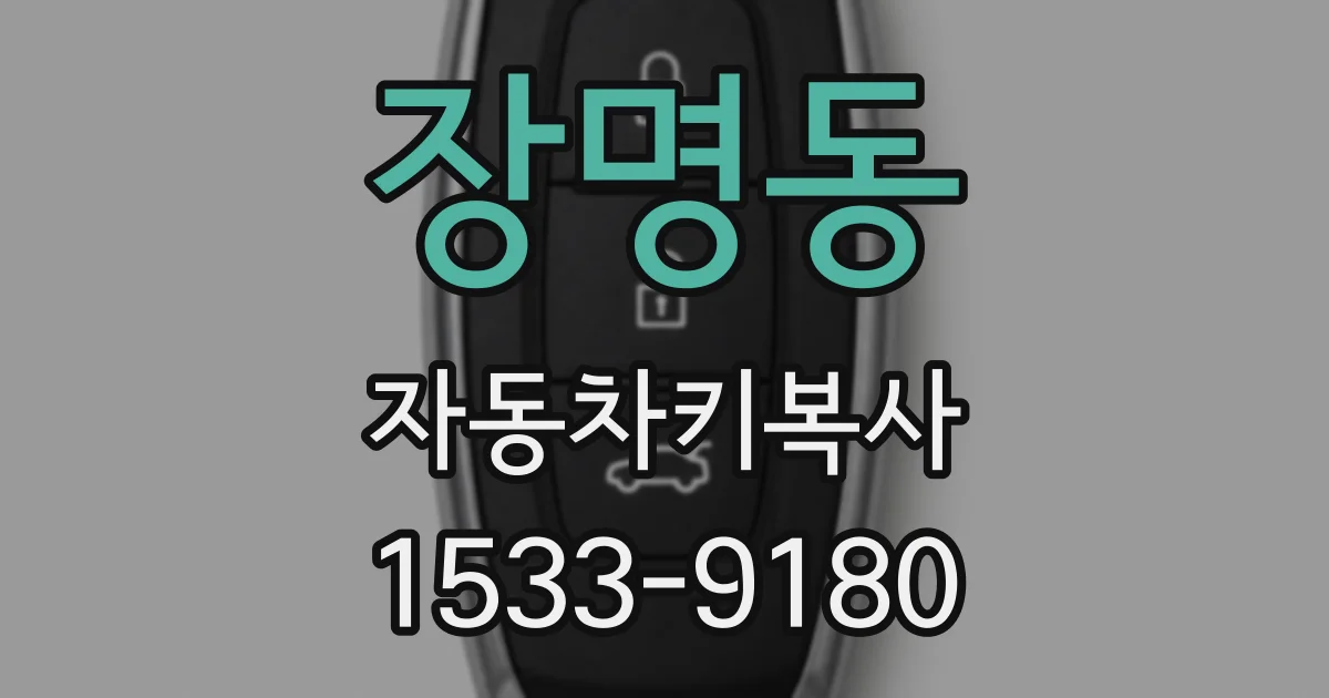 장명동 자동차키복사