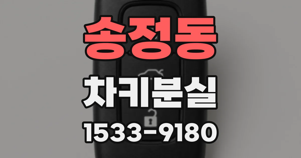 송정동 차키분실