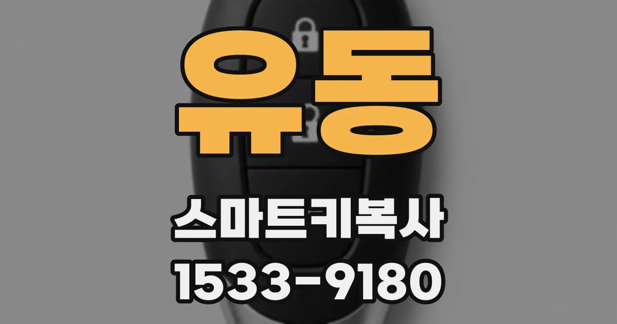 유동 스마트키복사