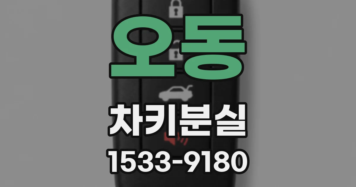 오동 차키분실