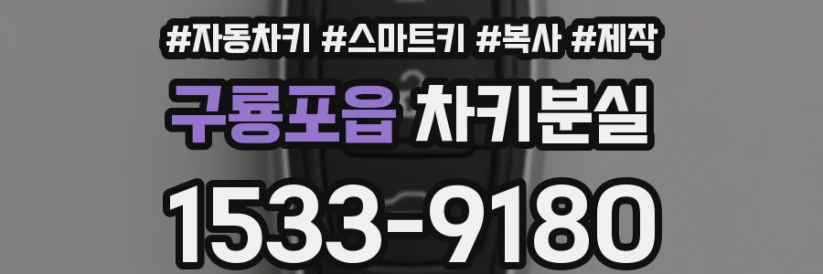 구룡포읍 차키분실