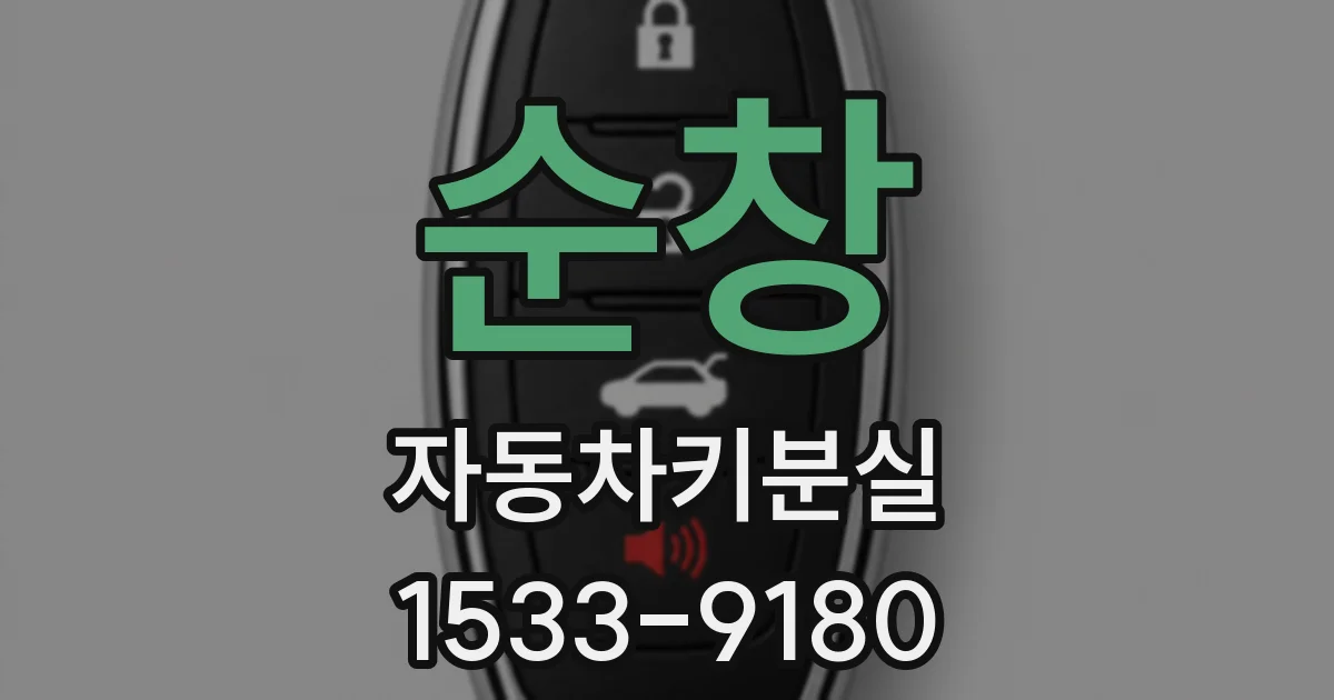 순창 자동차키분실