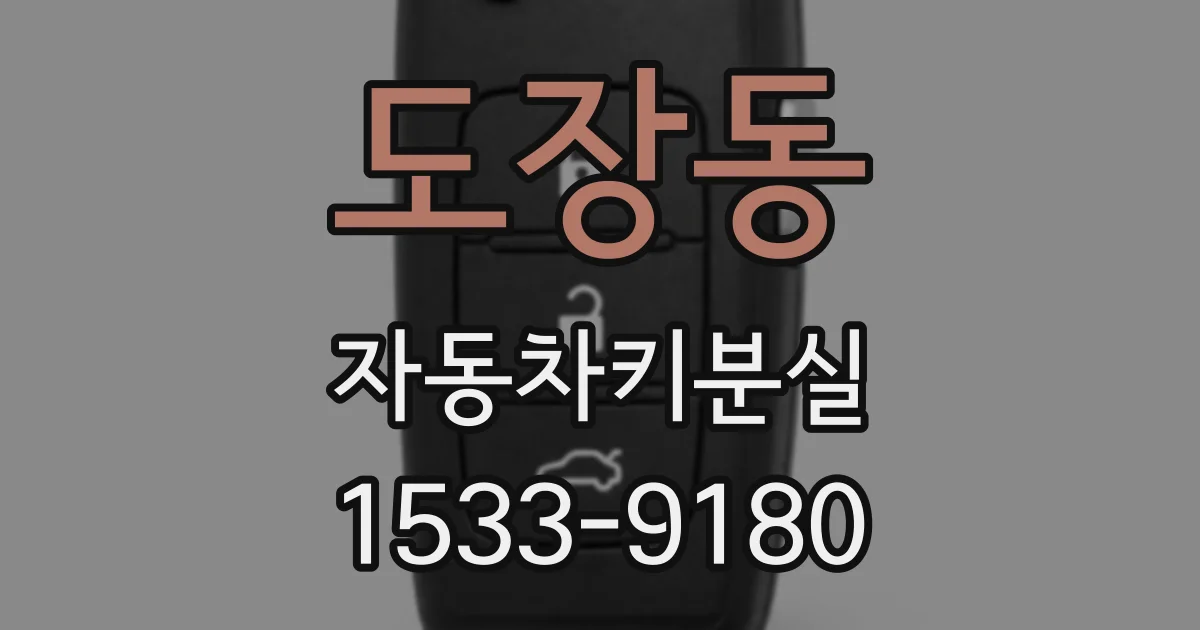 도장동 자동차키분실