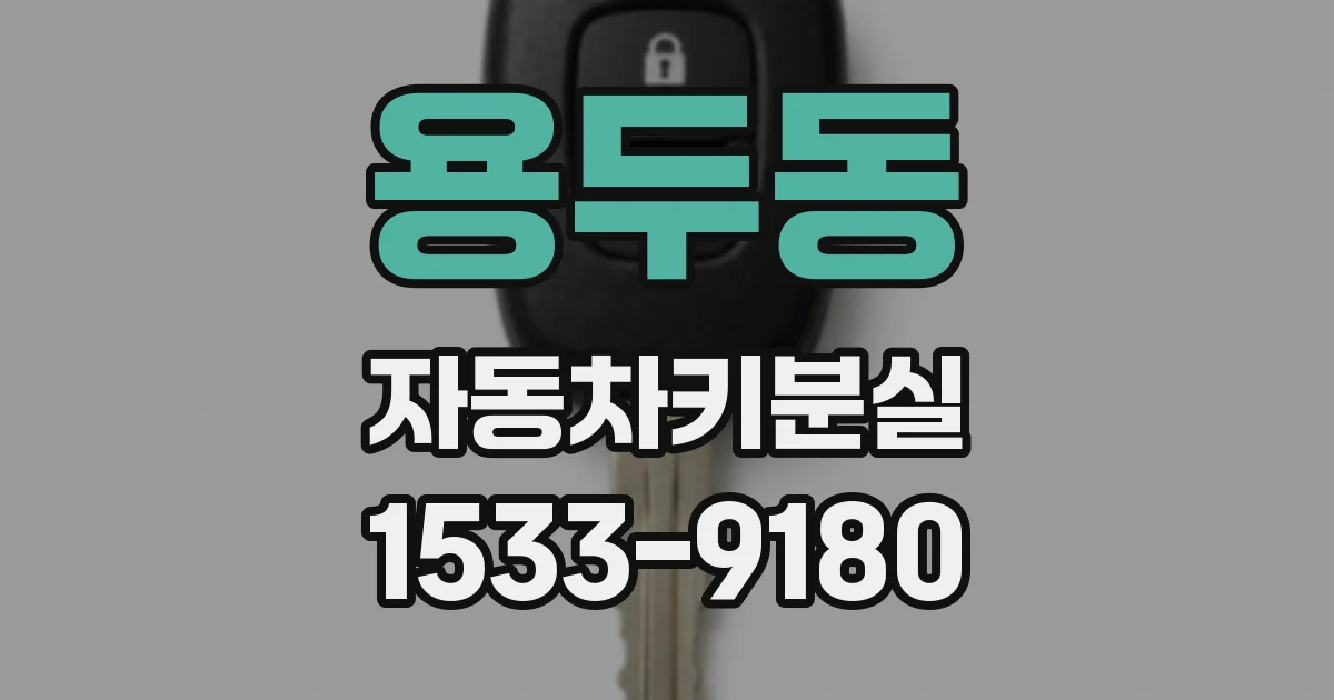 용두동 자동차키분실