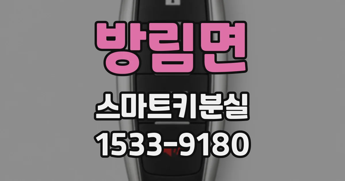 방림면 스마트키분실
