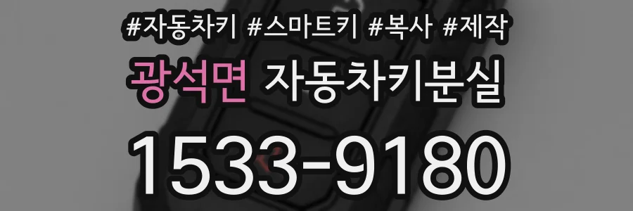 광석면 자동차키분실