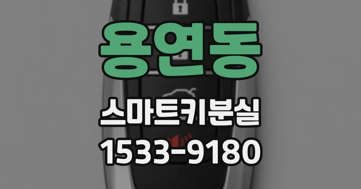 용연동 스마트키분실