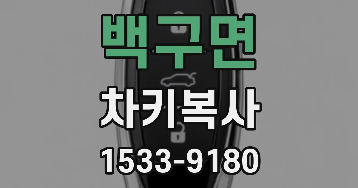 백구면 차키복사