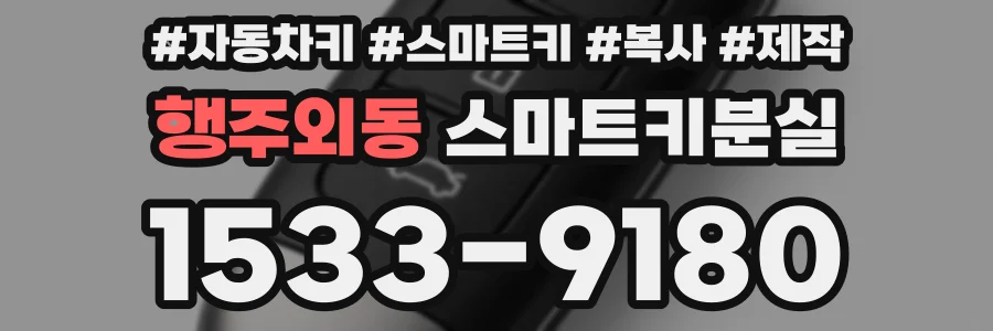 행주외동 스마트키분실
