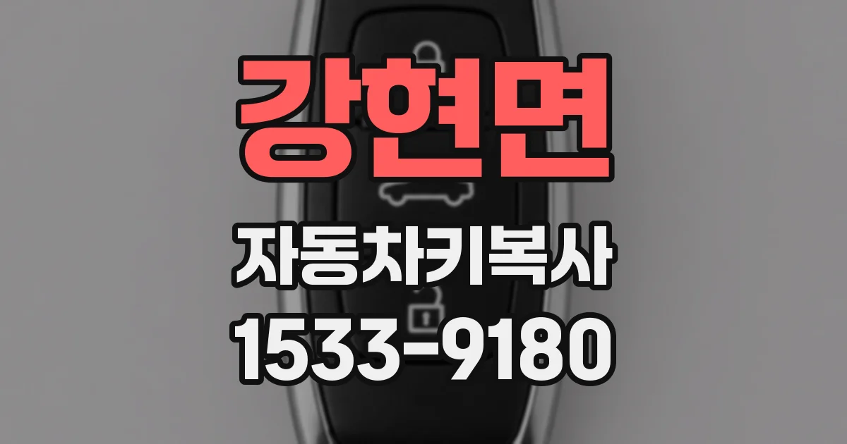 강현면 자동차키복사