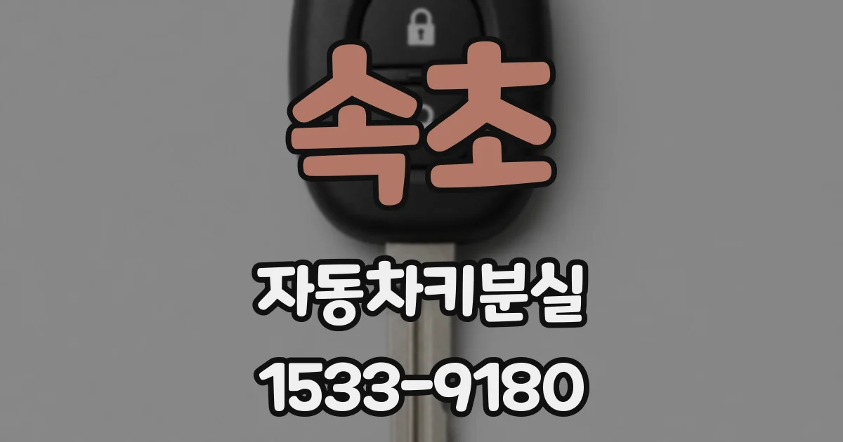 속초 자동차키분실