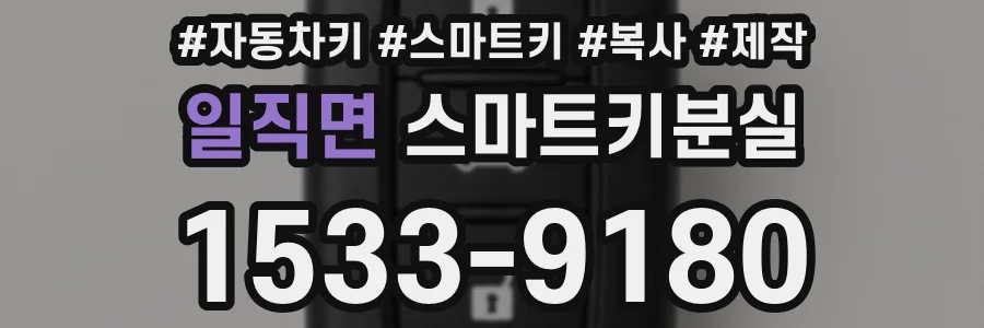 일직면 스마트키분실