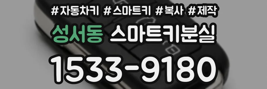 성서동 스마트키분실