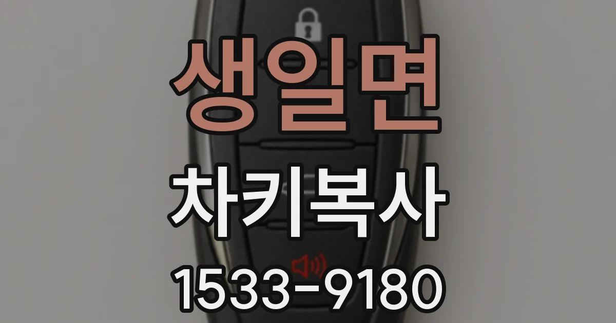 생일면 차키복사