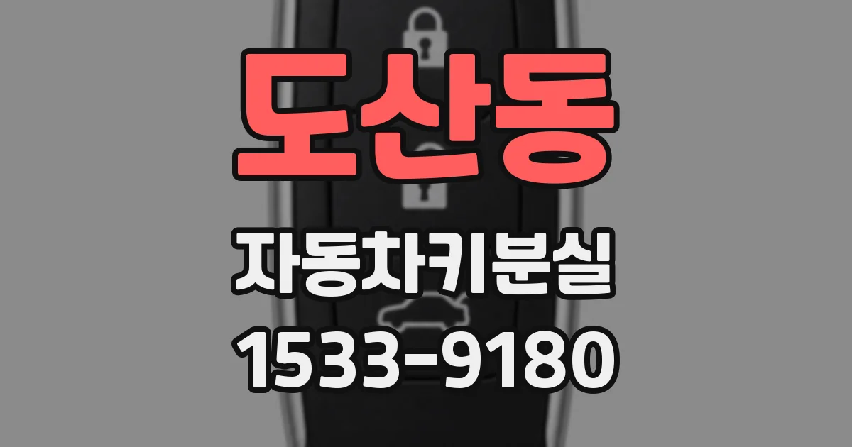 도산동 자동차키분실