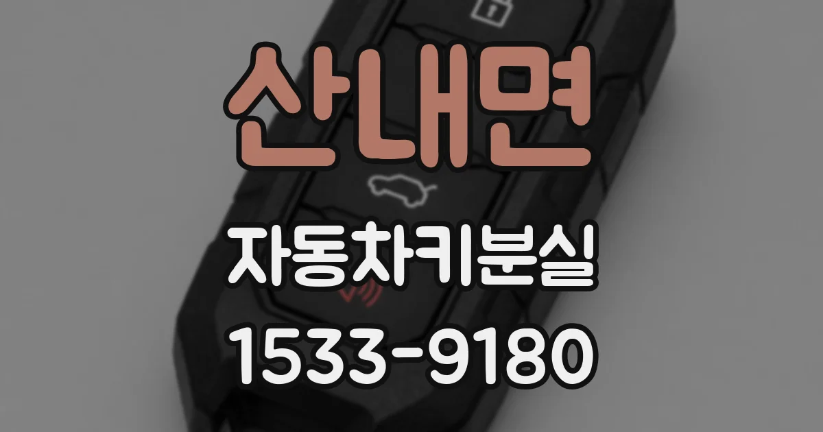 산내면 자동차키분실