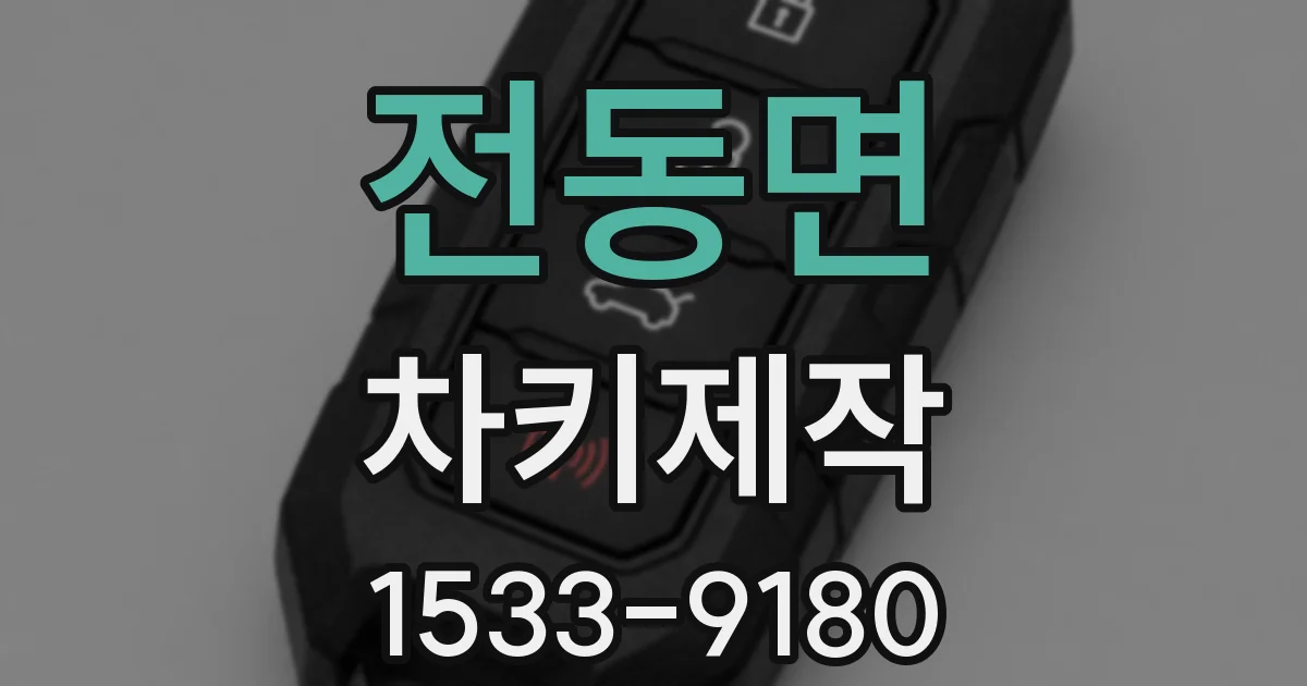 전동면 차키제작