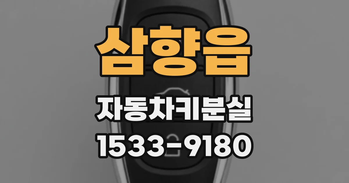 삼향읍 자동차키분실