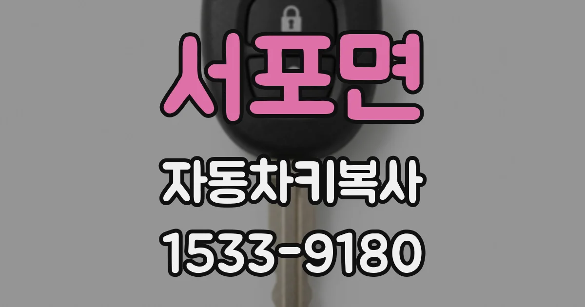 서포면 자동차키복사