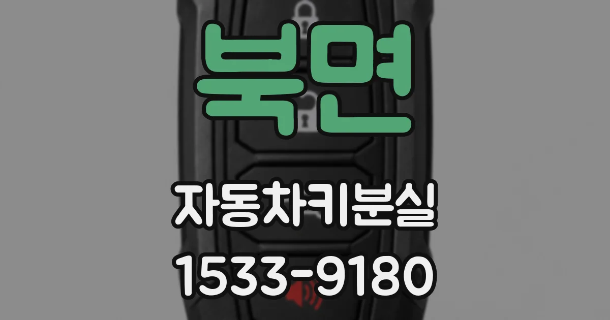 북면 자동차키분실