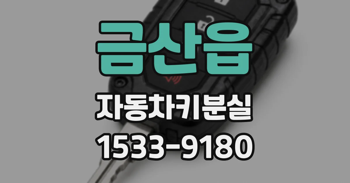 금산읍 자동차키분실