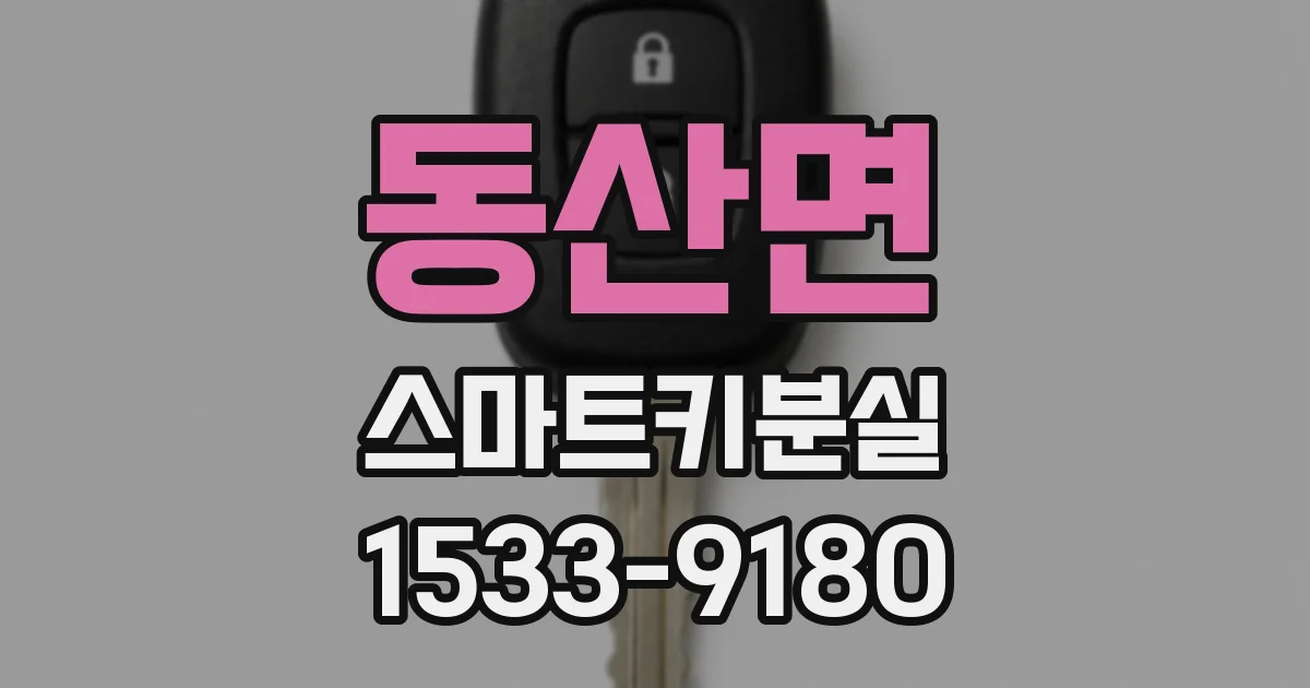 동산면 스마트키분실