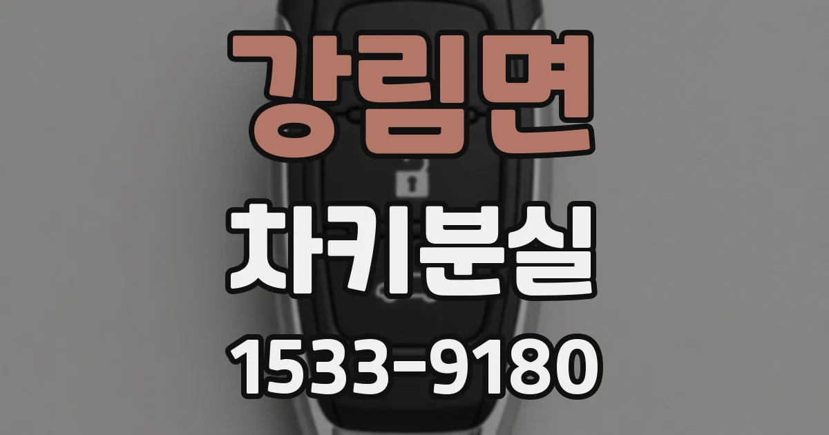 강림면 차키분실