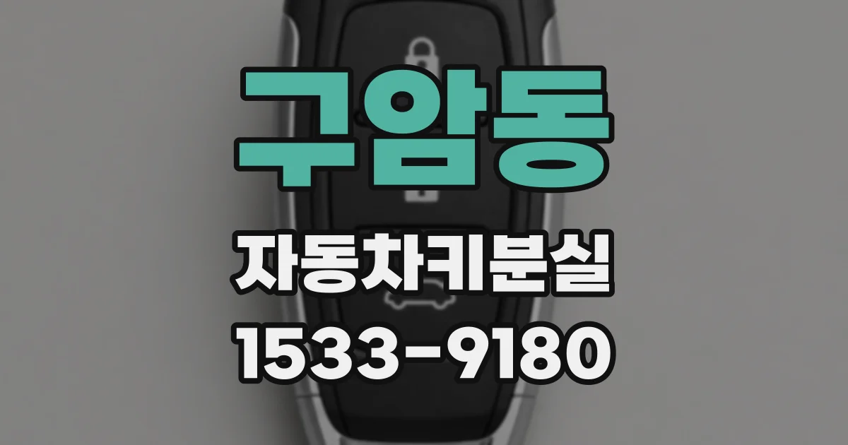 구암동 자동차키분실