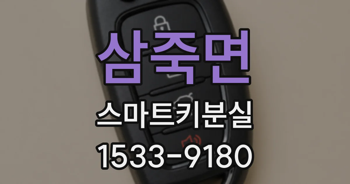 삼죽면 스마트키분실