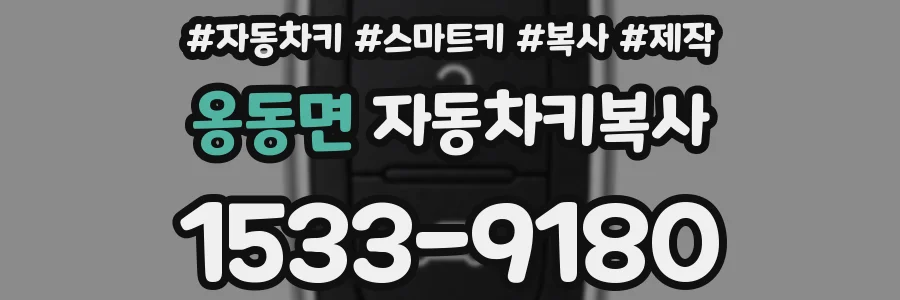 옹동면 자동차키복사