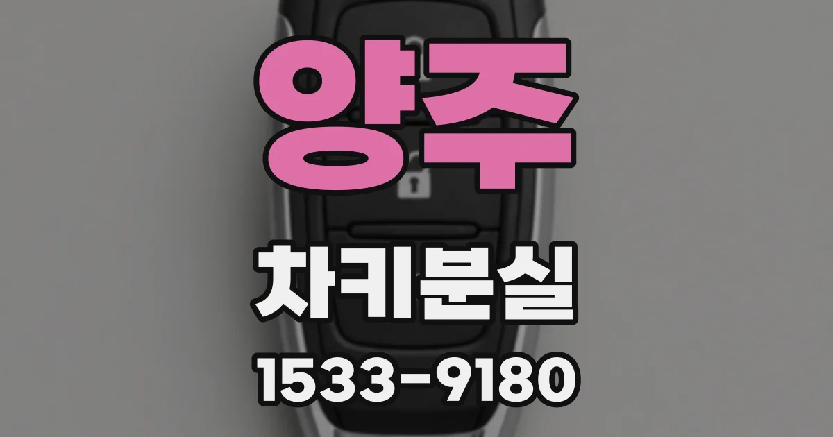 양주 차키분실