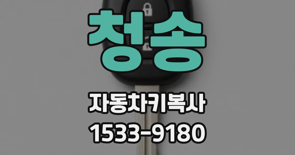 청송 자동차키복사