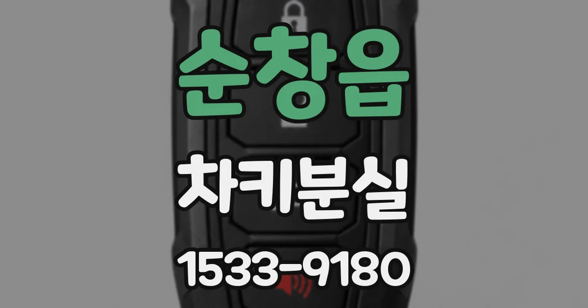순창읍 차키분실