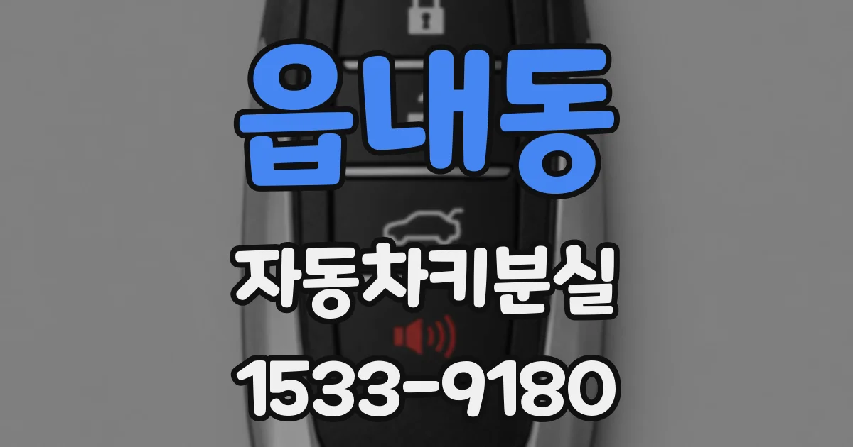 읍내동 자동차키분실