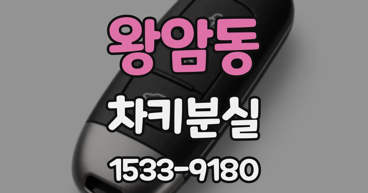 왕암동 차키분실