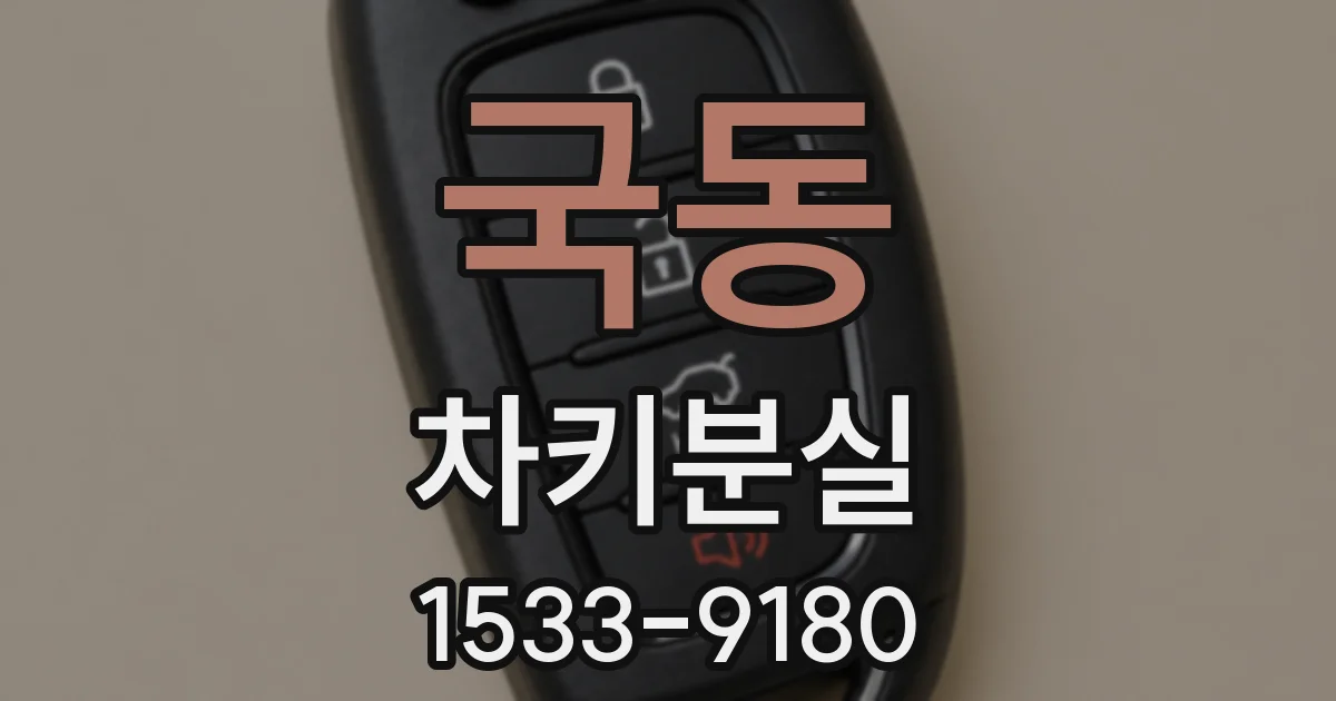 국동 차키분실