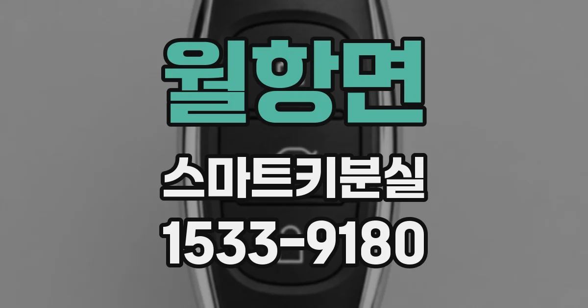 월항면 스마트키분실
