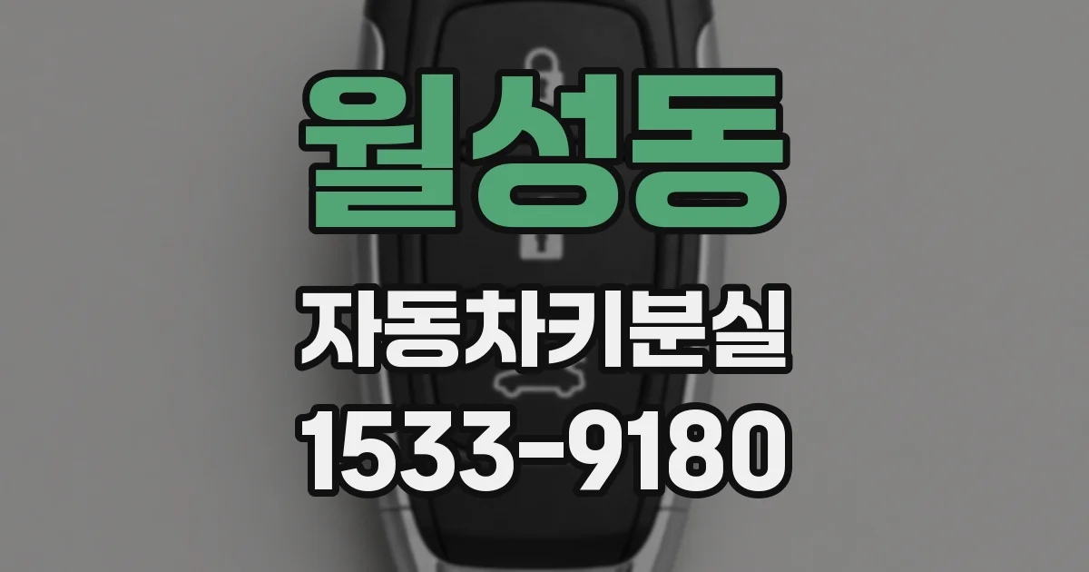 월성동 자동차키분실