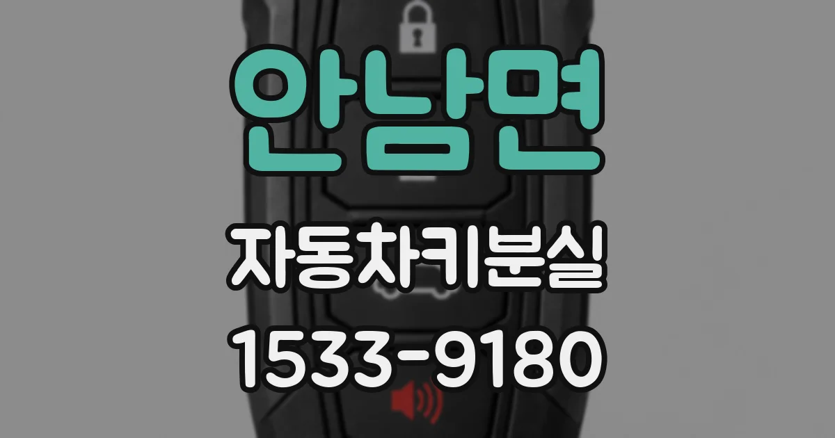 안남면 자동차키분실