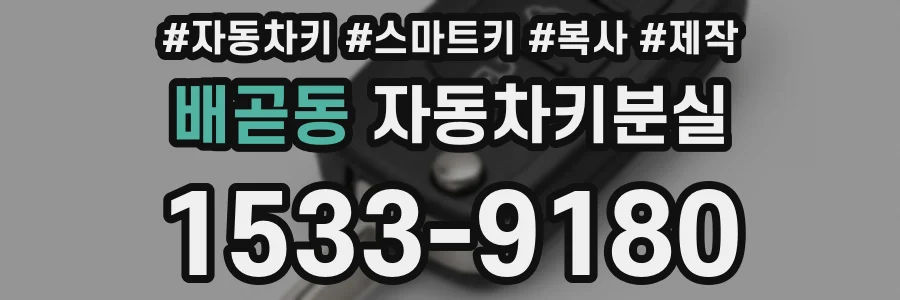 배곧동 자동차키분실