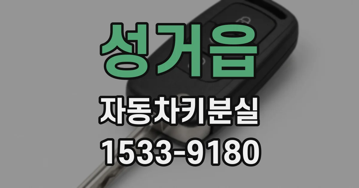 성거읍 자동차키분실