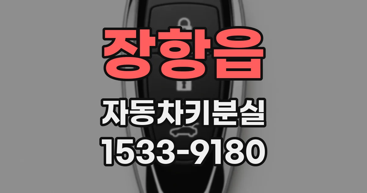 장항읍 자동차키분실