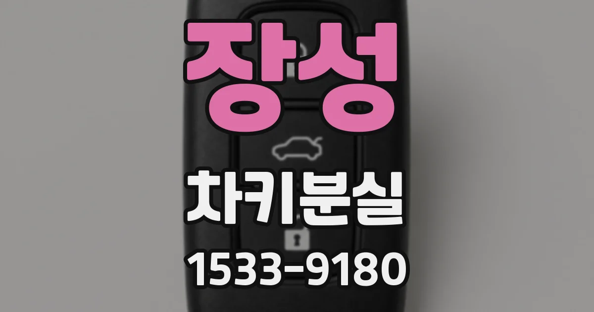 장성 차키분실