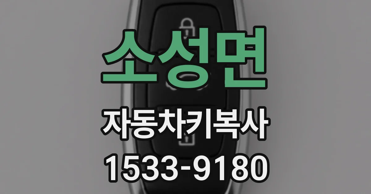 소성면 자동차키복사